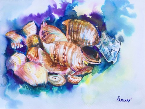 Sea Shells * by Olga Pascari