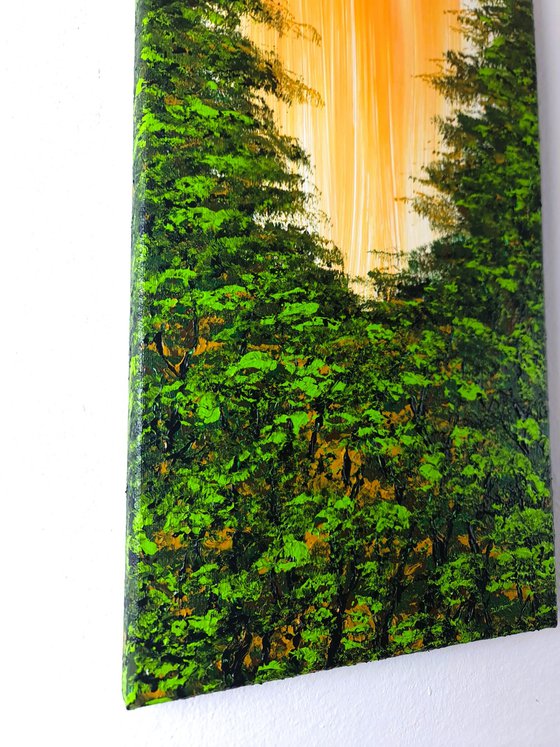 Nice Forest 2