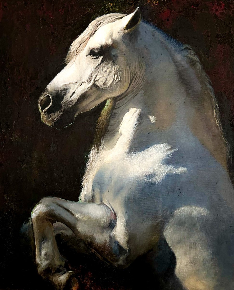 The White Horse by Paul Hardern