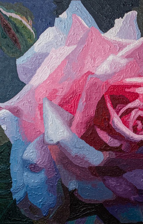 Pink Rose by Kheder