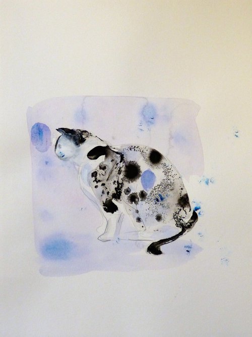 The Blue Spotty Cat, 29x42 cm by Frederic Belaubre