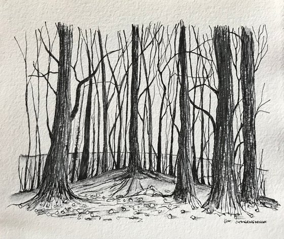 Winter Trees in Pen and Ink - Norfolk Landscape
