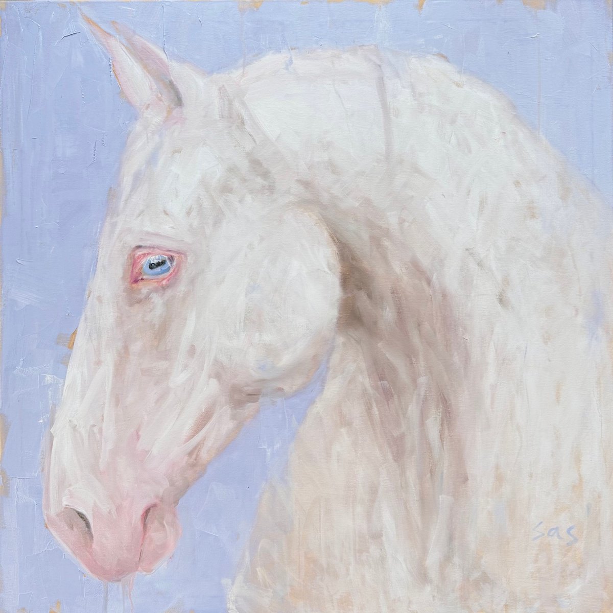 Expressive Animal Oil Painting By Liubou Sas, 39 X 39", Blue Eyes, Original Artwork