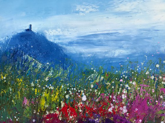 Summer's Joy at Brentor