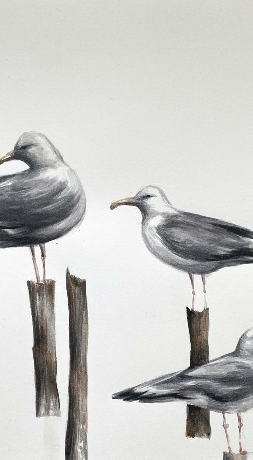 seagulls. One of a kind, original painting, handmade work, gift, watercolour art. by Galina Poloz