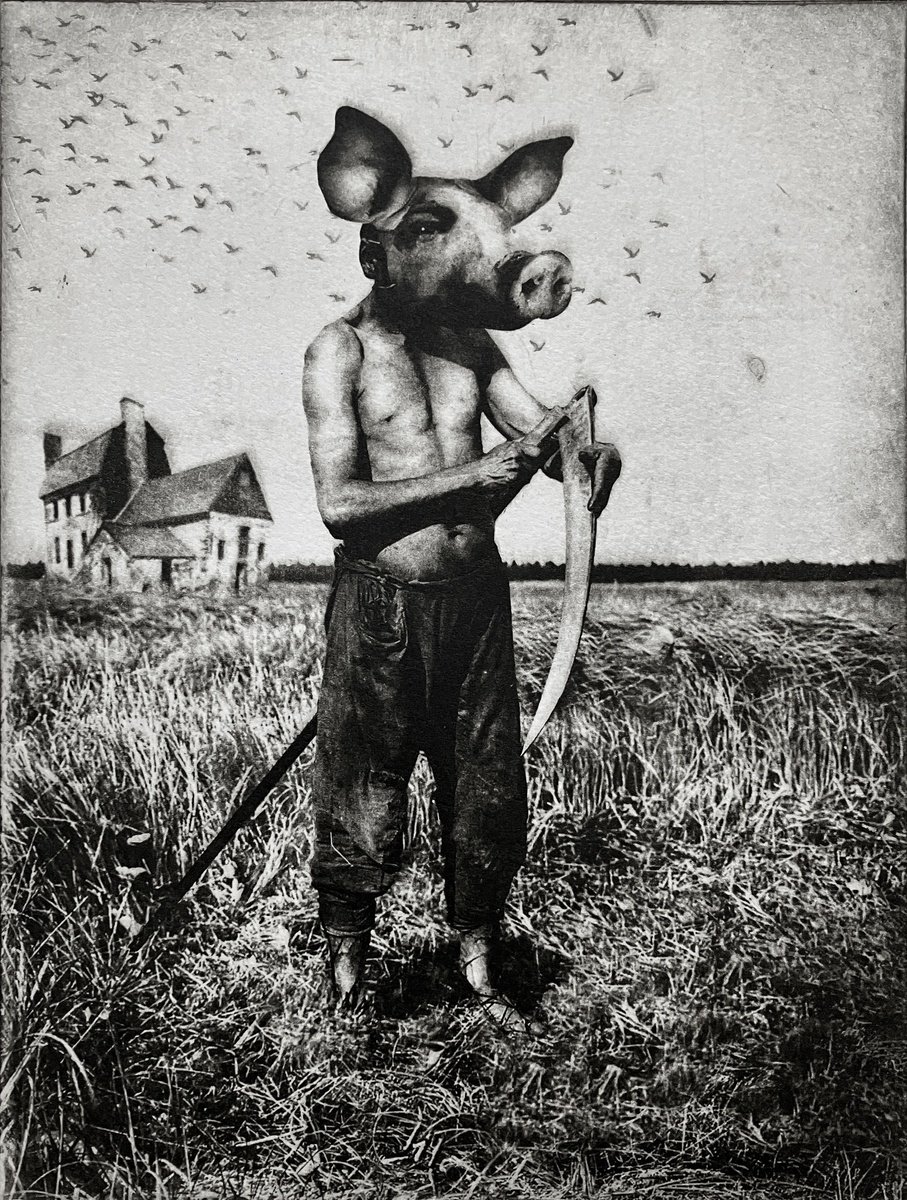Surrealistic Portrait Etchings & Engravings By Jaco Putker, 10 X 13, Pig Suite No.10: Wheat Whacker, Original Artwork