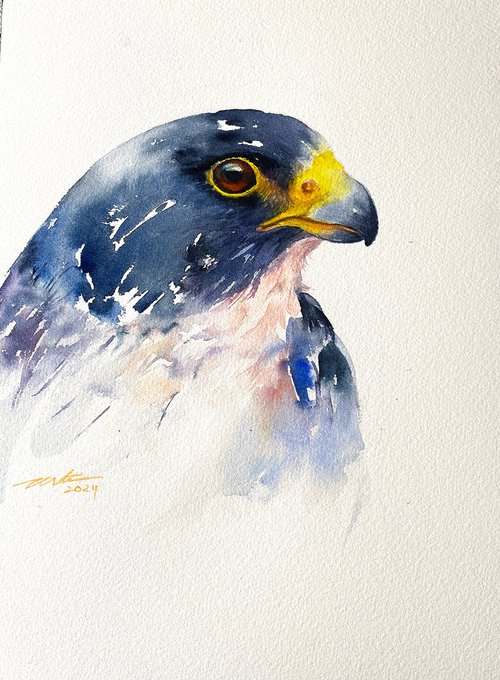 Peregrine Pete by Arti Chauhan
