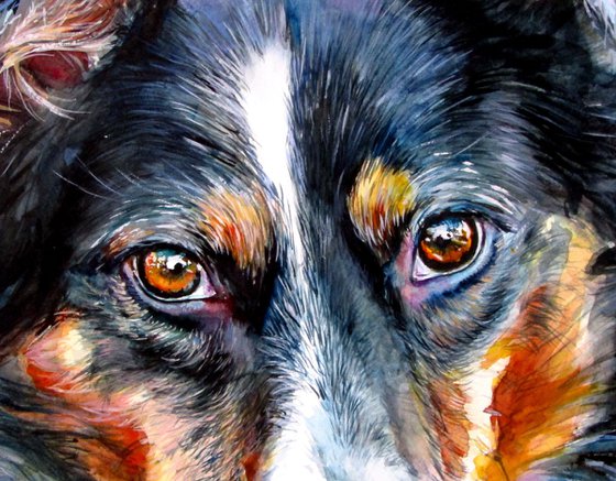 Cute dog II