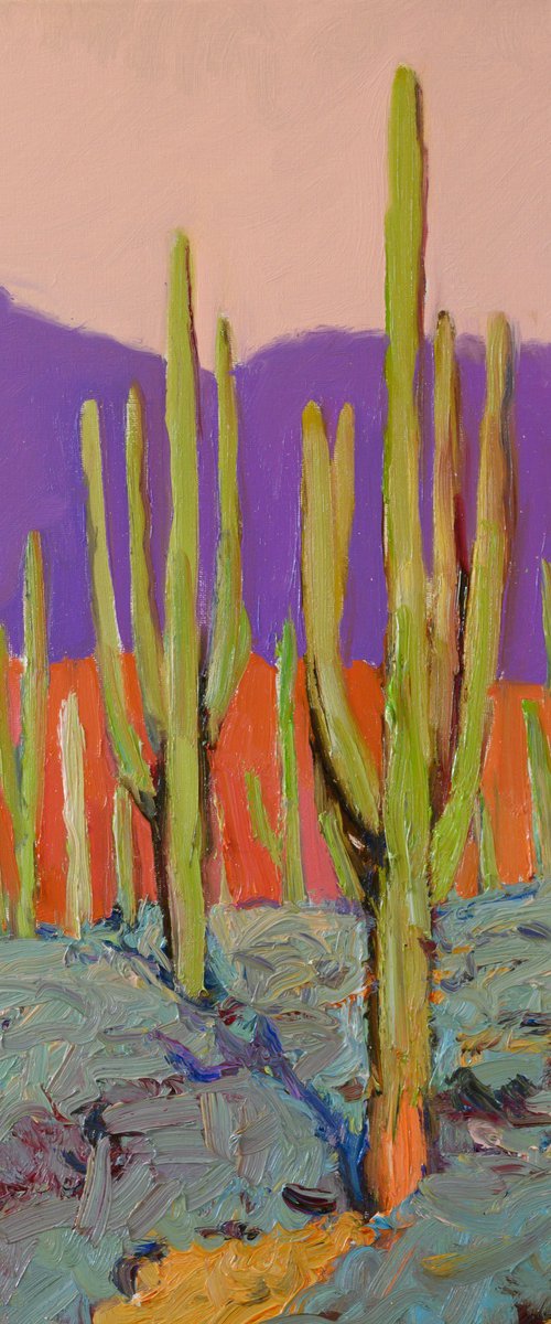 Saguaros. Desert Evening by Suren Nersisyan