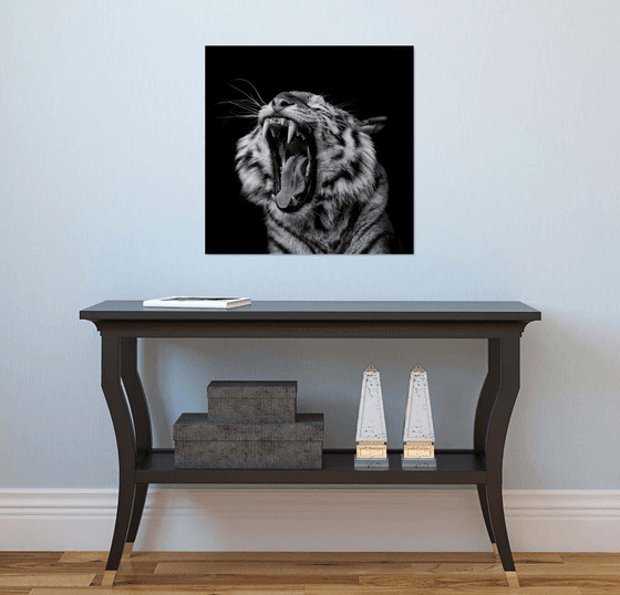 Siberian Tiger Roaring