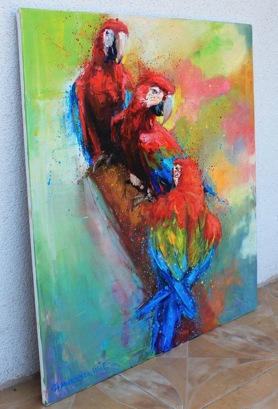 Red parrots"