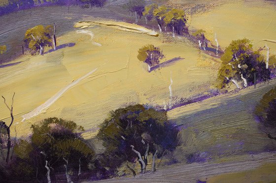 Australian mountain Landscape