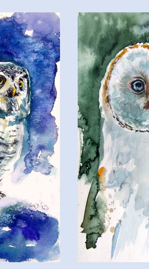 Owl collection by Kovács Anna Brigitta