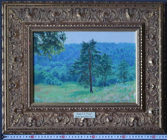 Pine grove