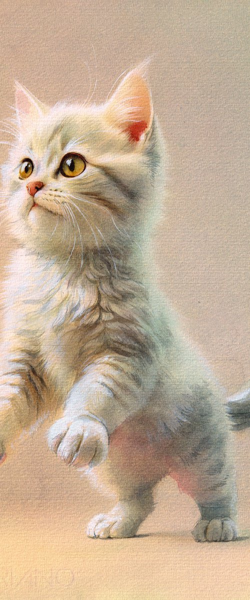 Kitten VII by REME Jr.