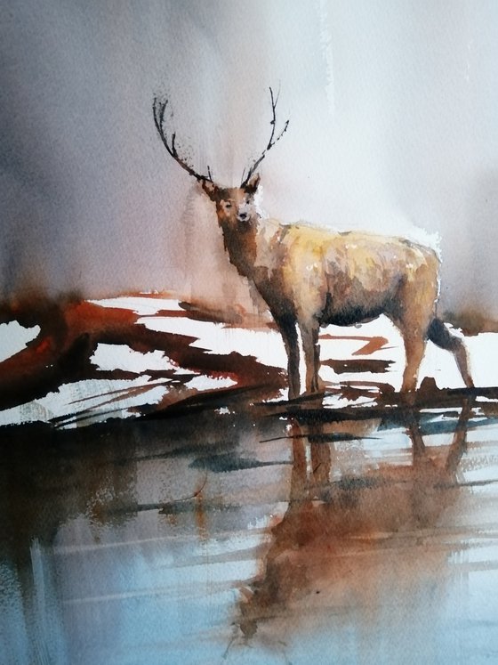 deer 5