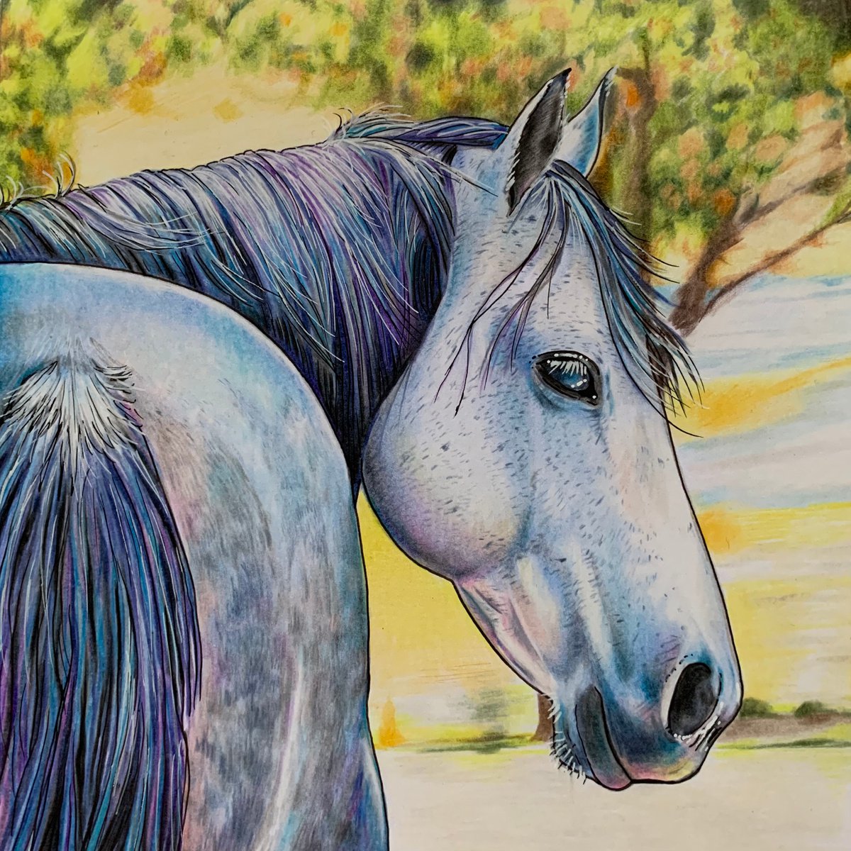 Painting , Dappled By Karen Elaine Evans, 10 X 10, Artwork For Sale On Artfinder