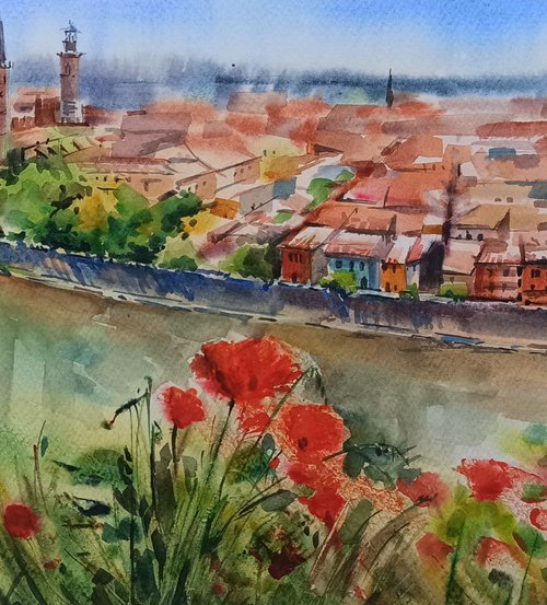 Panoramic view of Verona by Olga Drozdova