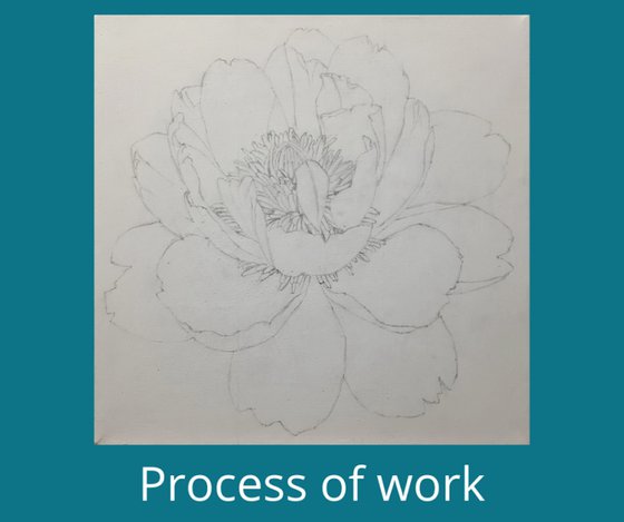 "Magic of Bloom"