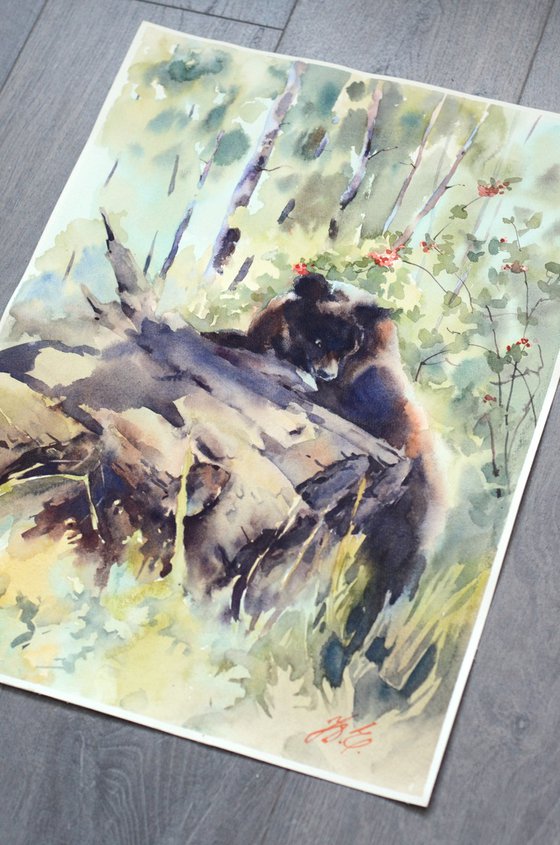 Bear in the forest / Watercolor wild animal