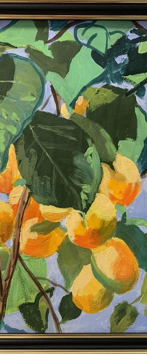 Apricot garden. by Vita Schagen
