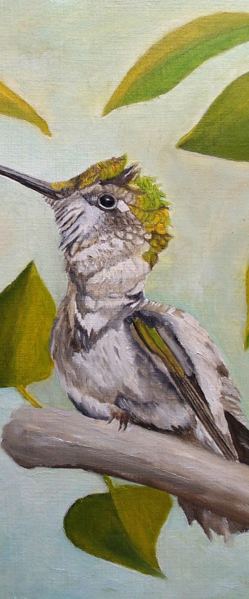Ruby-throated Hummingbird by Angeles M. Pomata