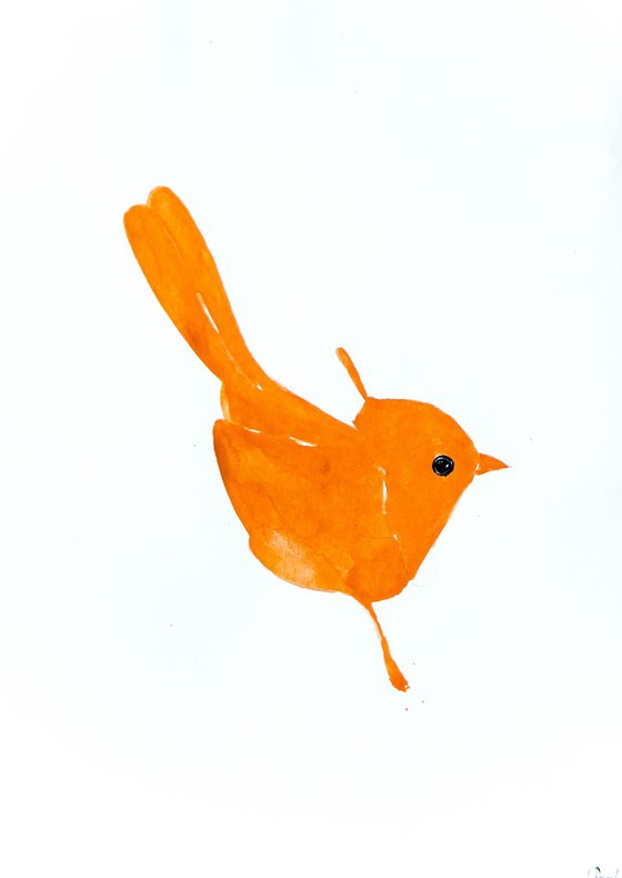 Birds