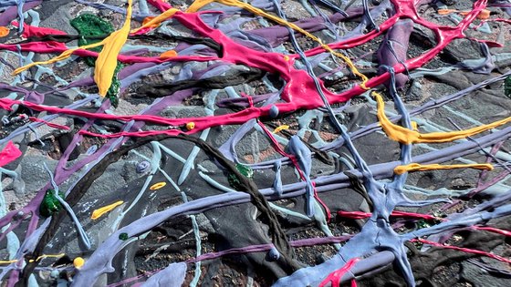 Where the Moment Breathes - framed