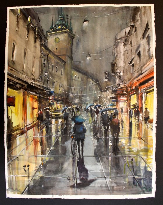 Rainy scene in Brno