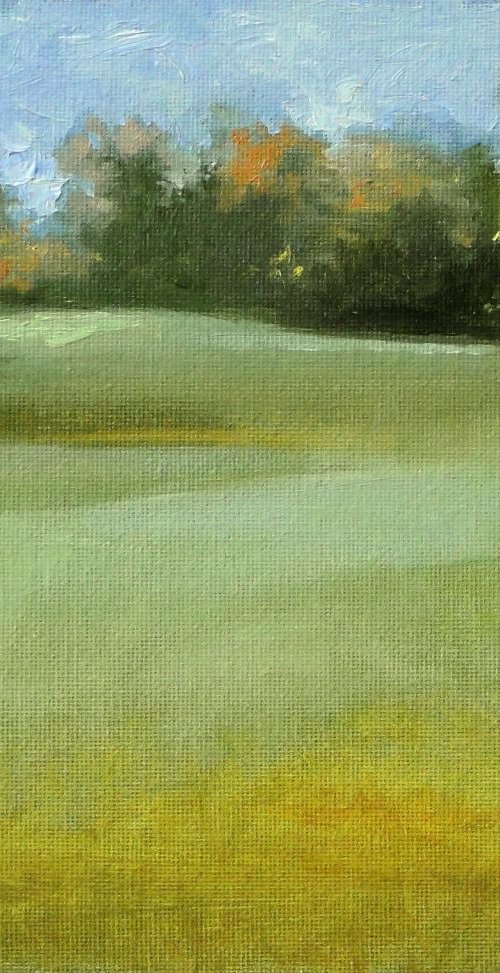 Meadow in Georgia by Rick Paller