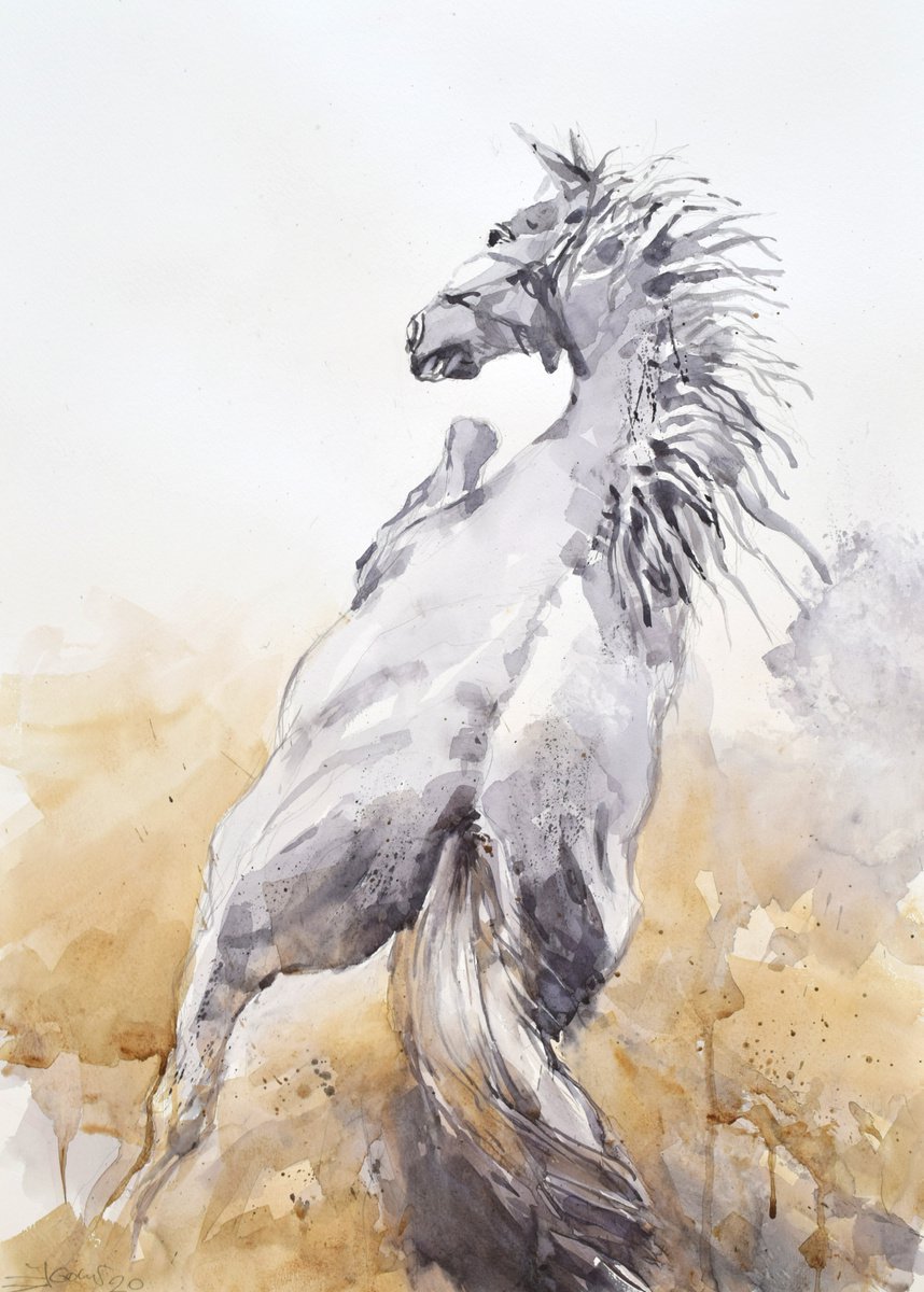 Expressive Animal Watercolour By Goran Zigolic Watercolors, 20 X 28, Prancing Horse (70X50)., Original Artwork
