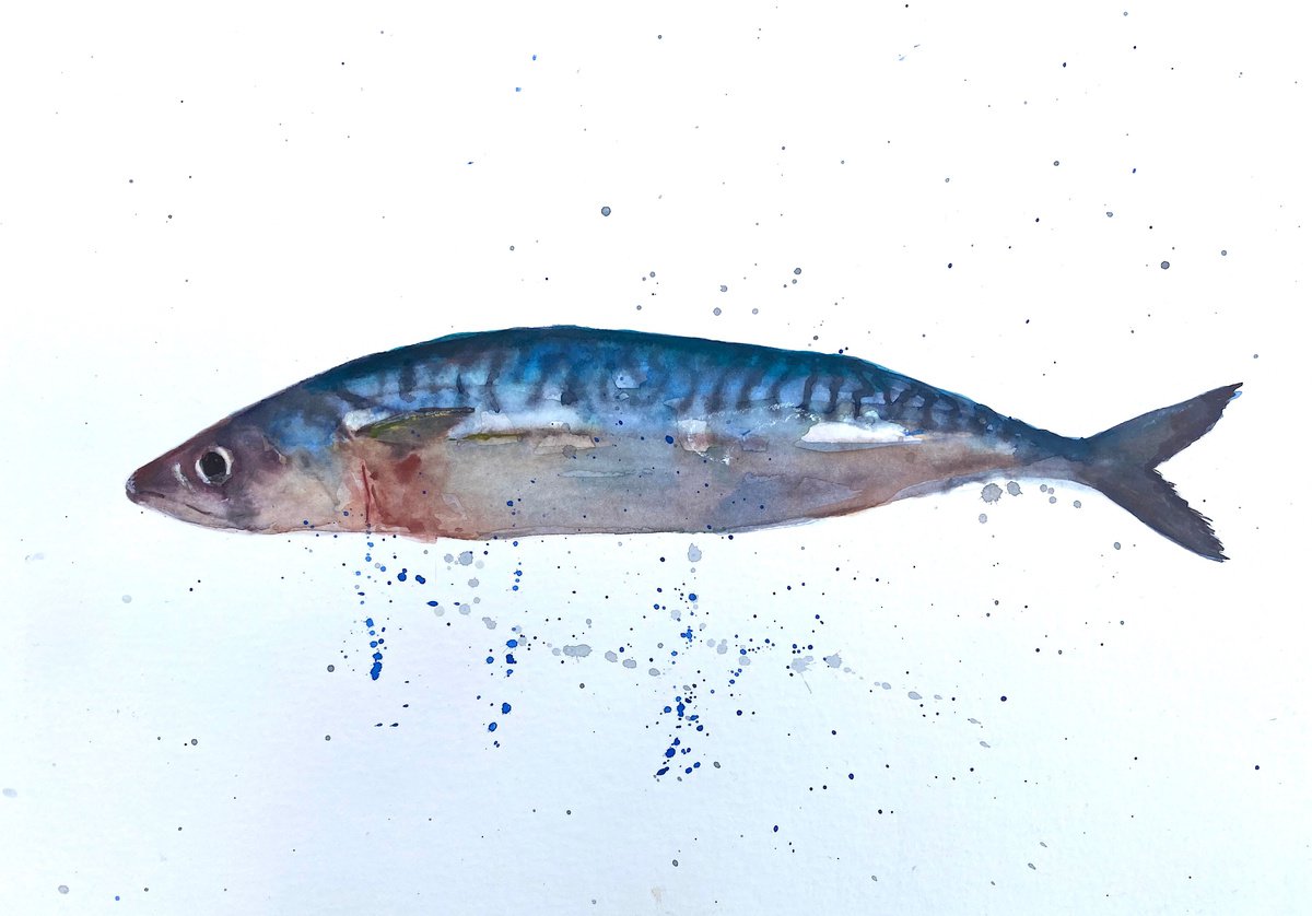 One Mackerel Fish by Teresa Tanner