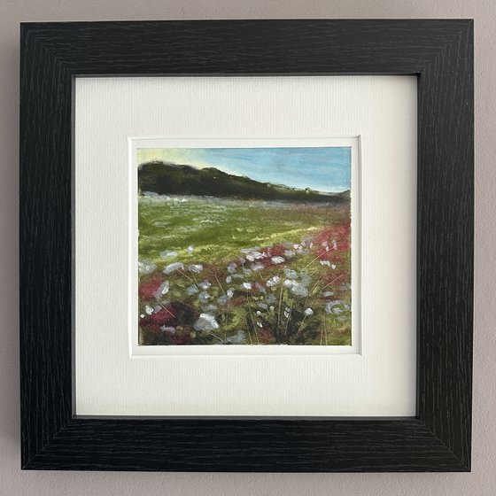 Edge of the Meadow