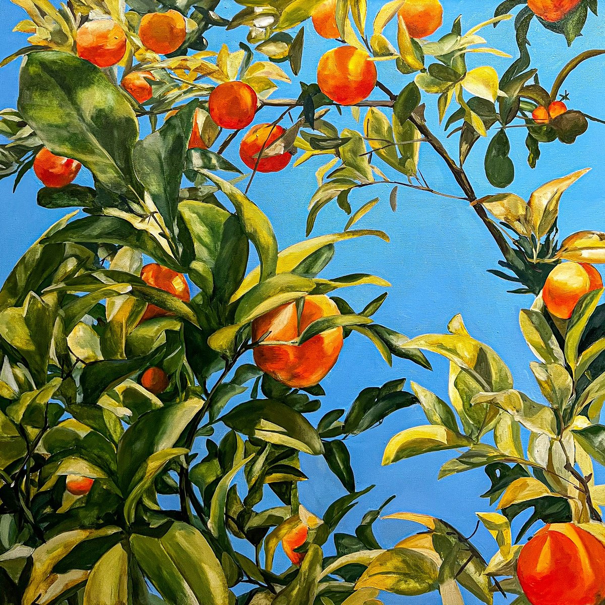 Tangerine tree by VICTO
