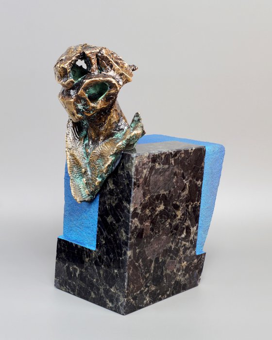 BIRMET III