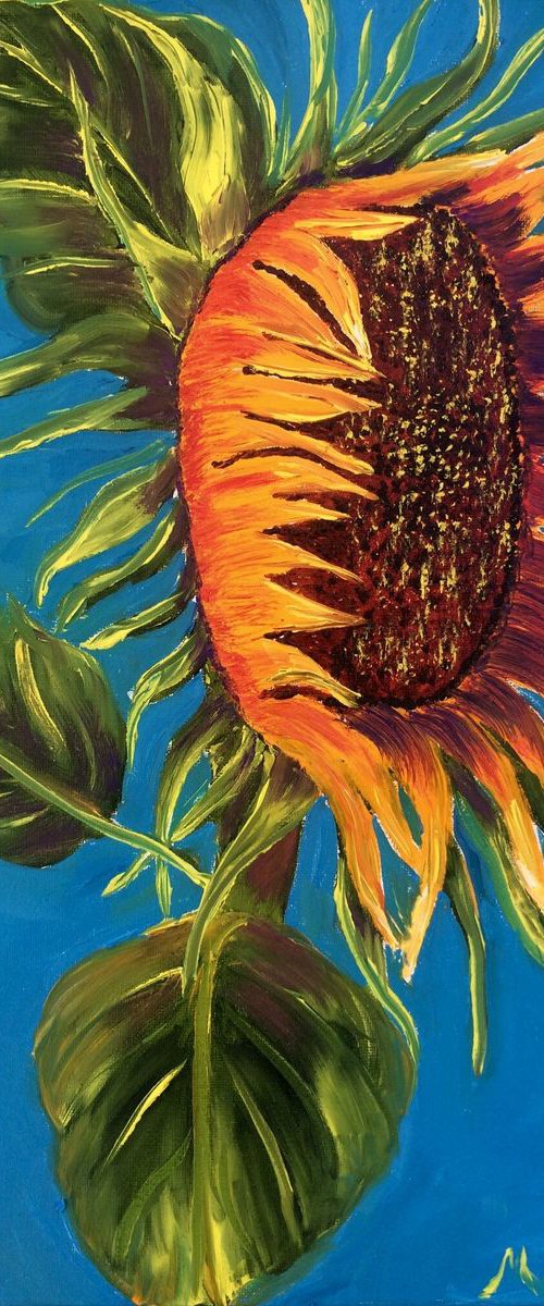 Tuscany sunflower by Inna Montano