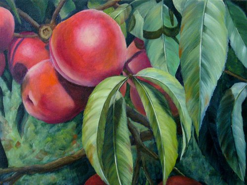 Summer Peaches by Kathye Begala