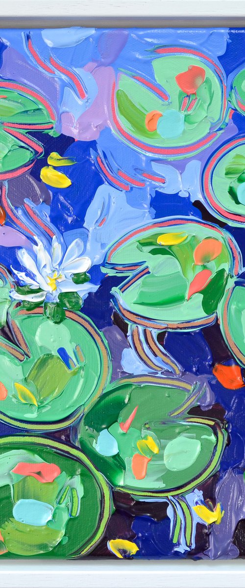 Tasman Lily Pond 31 by Joseph Villanueva