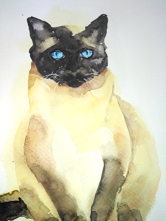 Siamese cat watercolor