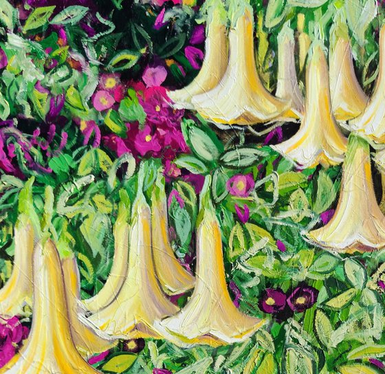 Bellflowers and Bougainvillea