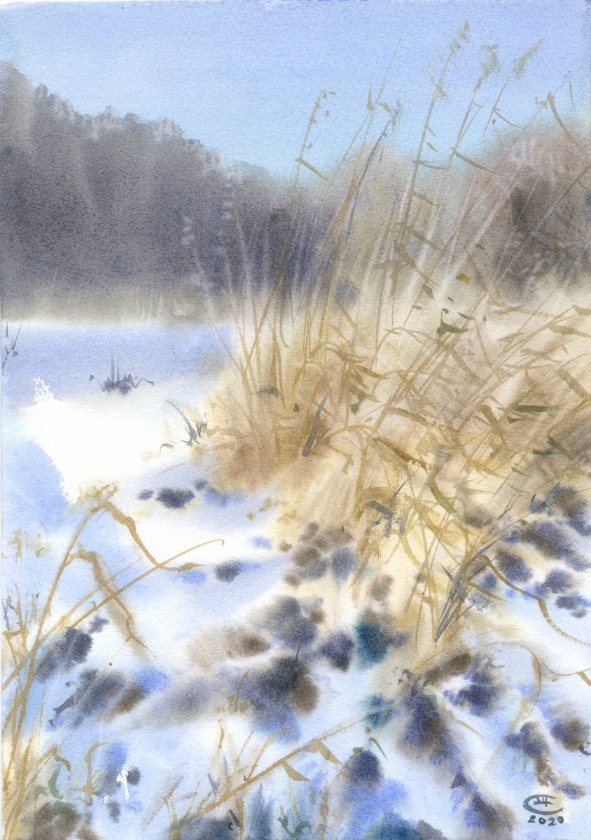 Winter. Dry grass. by Tatyana Tokareva
