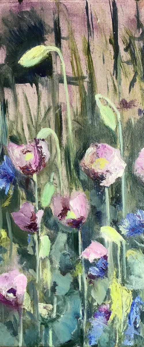 Purple Poppies by Sandra Haney