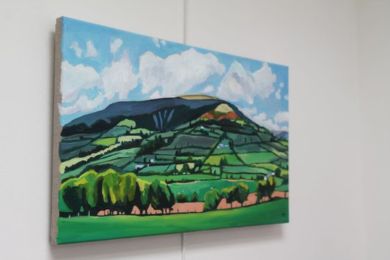 A Patchworked Skirrid