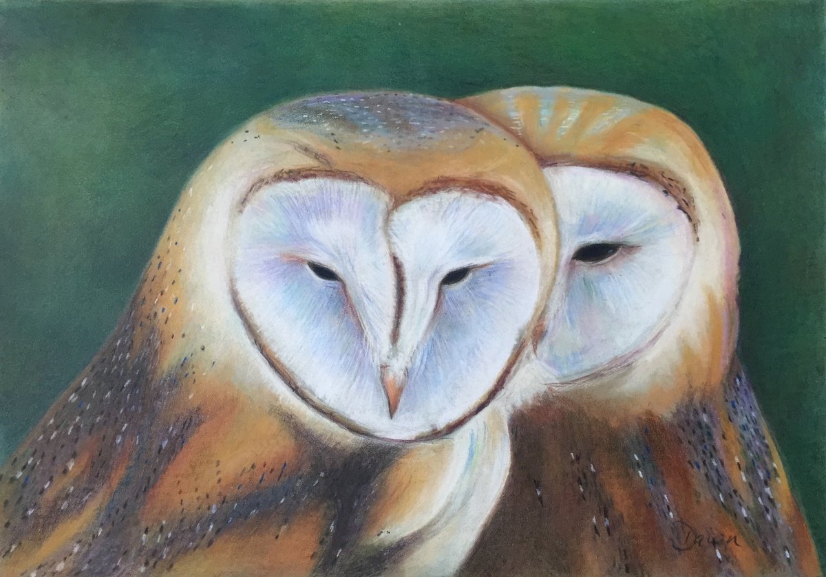 Together (Barn Owls) by Dawn Rodger