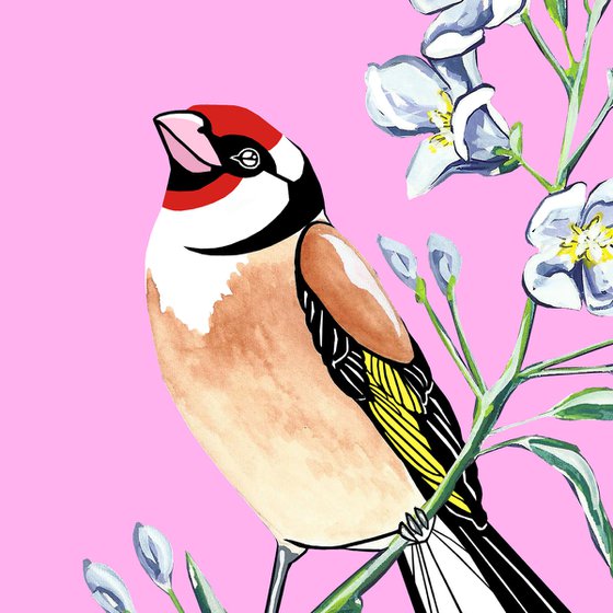 Goldfinch and Bellflower (print)