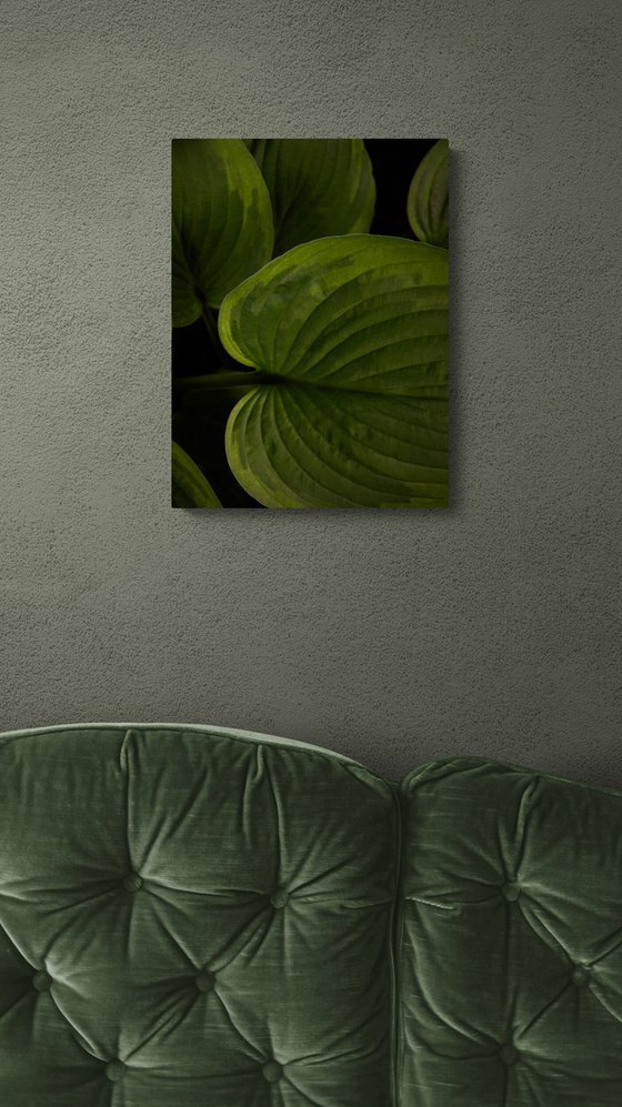 Green Landscape