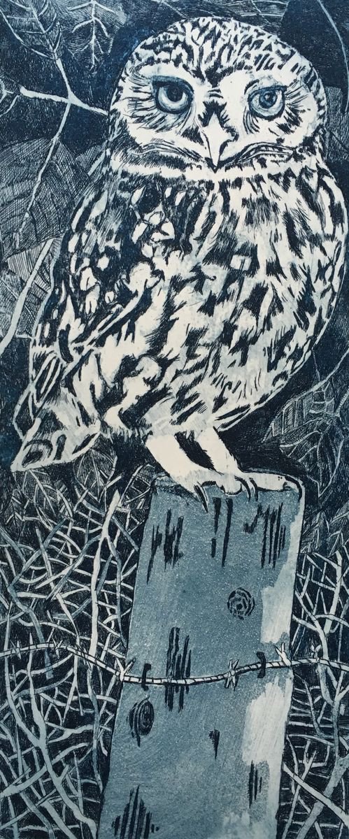 Illustrative Etchings & Engravings , Little Owl On A Post By Janis Goodman, 5 X 12, Artwork For Sale On Artfinder