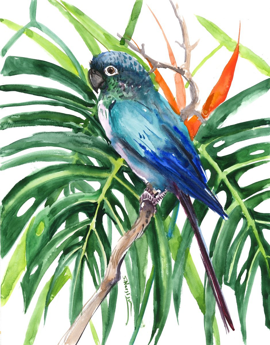 Turquoise Conure Parakeet, Parrot painting by Suren Nersisyan