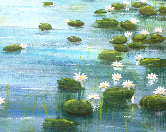 Serene lily pond