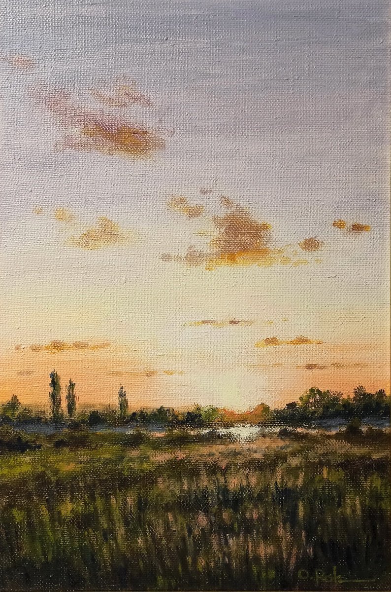 Impressionistic Landscape Oil Painting By Oleh Rak, 16 X 24", Morning Of The New Day, Original Artwork